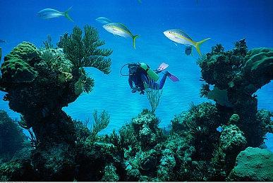 3DM速报：《赛博朋克2077》或正开发多人 《人类》Steam周销登顶